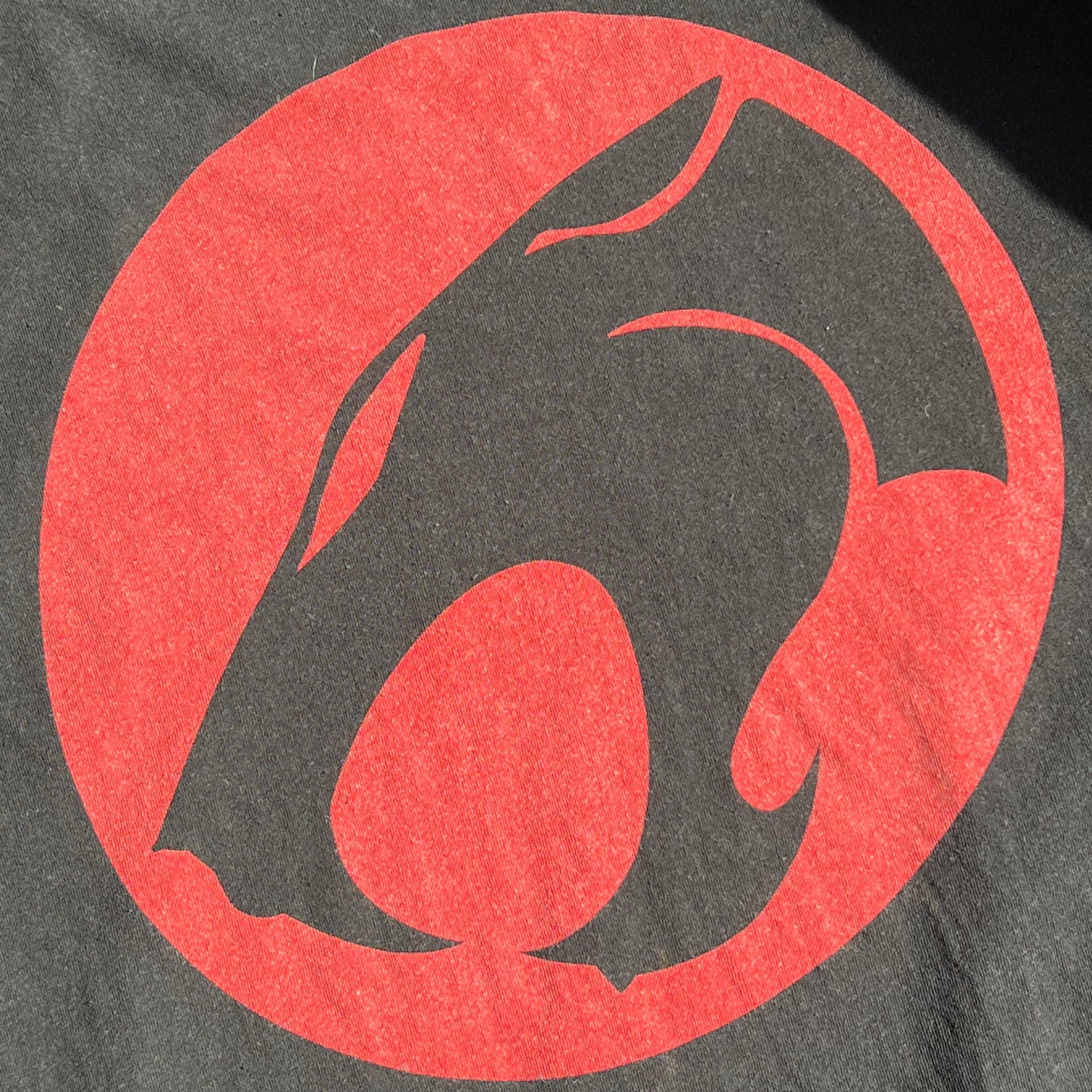 Big Red Thundercats logo on a black t-shirt