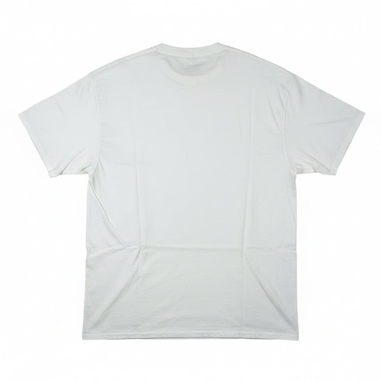 The back of white T-shirt on a white background